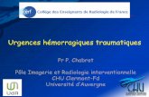 Urgences hémorragiques traumatiques - cerf.radiologie.fr · OBJECTIFS Connaître les lésions hémorragiques traumatiques présentation classifications Connaître les arbres de décisions