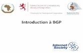 Introduction to BGP · Border Gateway Protocol • Protocole de routage utilisé pour échanger des informations de routage entre les différents réseaux –Exterior Gateway Protocol