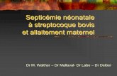 Septicémie néonatale à streptocoque bovis et allaitement ...despedara.org/.../20100116_walther_septicemie_neonatale_strpto_bovis.pdf · Streptococcus bovis (2) Infection néonatale