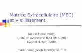 Vieillissement de la Matrice Extracellulaire (MEC) · Matrice Extracellulaire (MEC) et Vieillissement JACOB Marie Paule, Unité de Recherche INSERM U698, Hôpital Bichat, PARIS marie-paule.jacob-lenet@inserm.fr
