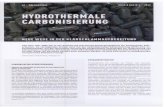 s232856347.online.des232856347.online.de/pdf/Fachbericht-Hydrothermale-Karbonisierung-Neue... · thermique sans digestion, l'énergie utilisable sous forme de bio- charbon stockable