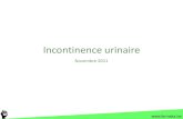 Incontinence urinaire - Incontinence urinaire Introduction ¢â‚¬¢Affection courante, sous-estim£©e, premi£¨re