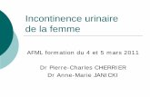 Incontinence urinaire de la femme - Incontinence urinaire d¢â‚¬â„¢effort. Biofeedback travail musculaire