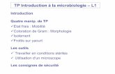TP Introduction à la microbiologie – L1 · 18 Milieu sélectif : favorise la croissance de certains micro-organismes grâce à une pression de sélection résultant de sa composition