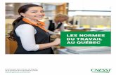Les normes du travail au Québec - cnesst.gouv.qc.ca · 4. Le cadre supérieur. 5. La personne salariée régie par la Loi sur les relations du travail, la formation professionnelle