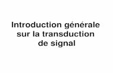 Introduction générale sur la transduction de signalpopopkiller.free.fr/cours/Polycopi__Biologie_mol_culaire_de_la_cellule__L2S4_.pdf · Comment se fait la spécificitéde la réponse