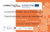 Le transfrontalier, terre d’innovation - competitiveko.eu · de competitividad de las PYME de Aquitaine - Euskadi - Navarra ... •Servicios eco sistémicos . 19 Carolina VIGURIA
