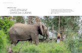 Afrique du Sud un éléphant Un éléphant dans ma cuisine ... · avec la nature sauvage et à travers elle, une histoire de courage, de persévérance et d’espoir au milieu des