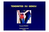 TENDINITES DU GENOU - prothese-genou.com · Ce traitement est long et demande de la discipline de la part du sportif Il peut aggraver les lésions et demande une surveillance attentive