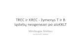 TREC ir KREC žymenys T ir B ląstelių neogenezei po aloKKLT · 2. Thymic‐dependent pathway •A long‐term process of de novo generation of naïve T cells differentiated in the