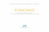 CACAO - Un profil de produit de base par INFOCOMMunctad.org/en/PublicationsLibrary/INFOCOMM_cp02_Cocoa_fr.pdf · Gayi, Directeur du Groupe spécial sur les produits de base, et la