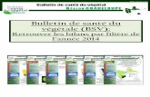 Bulletin de santé du végétale (BSV) - DAAF Guadeloupedaaf.guadeloupe.agriculture.gouv.fr/IMG/pdf/BSV971_ToutesFilieres... · parcelles fixes du réseau (parcelle intégrée au