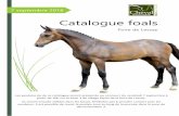 Foire de Lessay - cheval-normandie.fr · Catalogue foals Foire de Lessay 7 septembre 2018 Les poulains de de ce catalogue seront présentés au concours du vendredi 7 septembre à