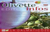 ISSN : 2273-3817 EDITO NOVEMBRE DECEMB… · di lèbre » (crottes de lièvre) surtout provenant des oliviers qui ne sont pas irrigués, les olives sont déjà flétries et le noyau