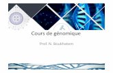 Prof. N. Boukhatemgenetiquefondamentale.e.g.f.unblog.fr/files/2016/12/cours-de-genomique... · Comparaison schématique des deux approches de séquençage complet du génome . 1 .