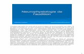 Neurophysiologie de l’audition - istdasklar.free.fristdasklar.free.fr/Organes des sens/Neurophysiologie de l'audition(2006-2007).pdf · Ce cours décrit les mécanismes qui, dans