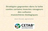 Jean Duval, agronome - CETAB+ | Le Centre d'expertise et ... · - Le Btk et le Spinosad (Enstrust) efficaces - suivre les bulletins du RAP - pièges à phéromone installés en bordure