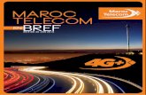 Gouvernement d’entreprise - iam.ma Telecom en... · Réseaux et Systèmes Gouvernement d’entreprise Maroc Telecom en bref / Edition 30 juin 2015 . Ouverture du capital de Maroc