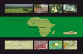 Atlas de la Biodiversité de l’Afrique de l’Ouest · PDF filele centre de biodiversité à Ouagadougou (Burkina Faso) et l’Atlas «BIOTA Ouest» actuel. Je me réjouis de l’apparition