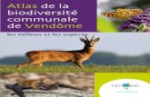 Atlas de la biodiversité communale de Vendôme - vendome.eu · richesses naturelles de son territoire. Le projet Atlas de la Biodiversité dans les Communes (ABC) lancé par le minis-tère