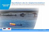 Synthèse de la réglementation - logonna-daoulas.bzh · Synthèse de la réglementation de la pêche maritime de loisir embarquée, à pied, à la nage ou en plongée sur le littoral