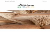 Dossier de presse mArs 2017 de... · Monte Cristo Lancement de la marque de pleurotes Monte Cristo 2013 Lancement d’une unité de production dans un ESAT 100 kg de marc de café