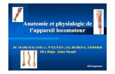 Anatomie et physiologie de l’appareil locomoteur · IFSI Salpêtrière C- ARTHROLOGIE 1- Généralités Cartilage articulaire: structure lisse recouvrant les extrémités osseuses
