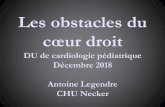 DU de cardiologie pédiatrique Décembre 2018 Antoine Legendre · Les obstacles du cœur droit DU de cardiologie pédiatrique Décembre 2018 Antoine Legendre CHU Necker