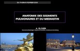 ANATOMIE DES SEGMENTS PULMONAIRES ET DU MEDIASTINonclepaul.fr/wp-content/uploads/2011/07/anat-mediastin-et-poumon-AO-2013.pdf · ANATOMIE DES SEGMENTS PULMONAIRES ET DU MEDIASTIN,
