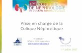 Prise en charge de la Colique Néphrétique · Prise en charge de la Colique Néphrétique P. CONORT Hôpital Pitié-Salpêtrière pierre.conort@aphp.fr 1er juillet 2017
