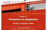 Chapitre 3 : Parasites et adaptation - CERIMEScampus.cerimes.fr/media/disquemiroir/2015-06-09/UNF3... · 2012-04-19 · Taeniasis Couronne de crochets et selon l’espèce présence