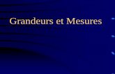 Grandeurs et Mesures - Claude Bernard University …math.univ-lyon1.fr/capes/IMG/pdf/Grandeurs_et_mesures.pdfQuelques phrases pour démarrer Répondre par correct ou incorrect : 1