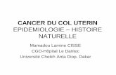 CANCER DU COL UTERIN - CAMPUS NUMERIQUEScampus.cerimes.fr/.../10_MamadouCISSE_CancerDuColUterin.pdf · 2015-01-20 · CANCER DU COL UTERIN EPIDEMIOLOGIE – HISTOIRE NATURELLE Mamadou