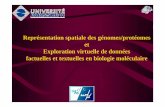 Représentation spatiale des génomes/protéomes et ... · factuelles et textuelles en biologie moléculaire. UP-XI Master Rech - TIG, 2004-2005 LIMSI-CNRS, Université Paris-Sud