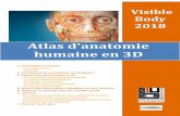 Atlas d'anatomie humaine en 3Dbu.univ-antilles.fr/sites/buantilles.aegirprod...1. Présentation et accès 1.1 Présentation L'atlas d’anatomie humaine « Visile ody » est une appliation