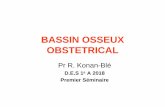 BASSIN OSSEUX OBSTETRICALci-desgyneco.com/portfolio/doc/36e81930a09a4e0e1d452a6601ef373d.pdf · • 2 –Anatomie du bassin obstétrical • 3 –Exploration du bassin osseux •