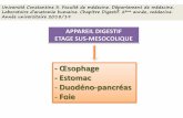Œsophage - الموقع الأول للدراسة في ...univ.ency-education.com/uploads/1/3/1/0/13102001/... · Les dispositifs anatomiques : pince diaphragmatique, angle aigu