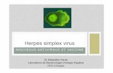 Herpes simplex virus · réplication HSV • ½ vie > 80h ( > ACV ou PCV) Birkmann A. PK/PD evaluation of AIC316, a novel herpes simplex virus inhibitor currently in clinical development.