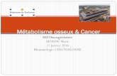 Métabolisme osseux & Cancermedecine.ups-tlse.fr/du_diu/2016/geria_24_03/DUOG... · 2016-03-24 · III-Généralités concernant les MO -fréquence, localisations, épidémiologie