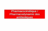 Pharmacocinétique / Pharmacodynamie des antibiotiques · PK/PD effet vs temps Temps Effet 0 1 0 Pharmacodynamie conc. vs effet Conc. (log) 10-3 Effet Pharmacocinétique / Pharmacodynamie