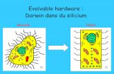 Evolvable hardware : Darwin dans du siliciumbertrand.granado.free.fr/ENSEA/coursESA.pdf · Faille de productivité de l'ingénieur augmente Capacité des FPGA 0.6µ 1994 0.5µ 1995