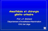 Anesthésie et chirurgie génito-urinaire Brichant.pdf · 2008-03-07 · –"TURP syndrome" –Position –coelioscopie. Résection endoscopique de la prostate Mortalité et morbidité