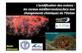 L'acidification des océans: les coraux …...L'acidification des océans: les coraux méditerranéens face aux changements chimiques de l’Océan Denis Allemand Photo JM Mille -
