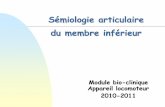 Sémiologie articulaire du membre infé 

Sémiologie articulaire du membre inférieur Module bio-clinique Appareil locomoteur 2010-2011