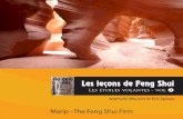 Les leçons de Feng Shui - Les étoiles volantes - volume 2 · PDF file 2014-10-20 · 48 Les leçons de Feng Shui - Cycle de formation au Feng Shui traditionnel Modéliser le temps