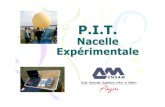 Angers.ppt [Lecture seule] - Planète Sciences · P.I.T. Ballon - Angers • Introduction • Organisation – Planification - Coûts • Définition des expériences – Mesure de