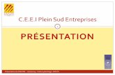 C.E.E.I Plein Sud Entreprises · 2013-12-16 · Les C.E.E.I, un outil pour entreprendre Présentation du CEEI PSE – 16/12/2013 – Visite Lycée Arago – BTS TC 6 Créer de l’emploi