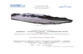 ZONGO - CHACALTAYA- CHARQUINI SUR Mediciones …horizon.documentation.ird.fr/exl-doc/pleins_textes/... · 2016-12-22 · GLACIOCLIM Observatoire de Recherche pourl'Environnement GlaciarZongo