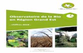 Observatoire de la Bio en Région Grand Est · + 13,2 % en 1 an + 1 653 ha en 1 an + 6 928ha en 5 ans + 11 798 ha en 10 ans 4,7 % de la SAU des Ardennes Évolution du nombre de fermes