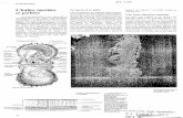 L'huître nacrière et perlière - IRDhorizon.documentation.ird.fr/exl-doc/pleins_textes/pleins_textes_5/b_fdi_23-25/30282.pdf)peration chirurgicale, iecessite l'intervention Je techniciens